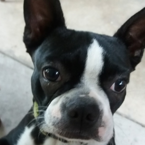 Meet your Posher, Becky - Picture 1 of 1